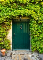Green door w ivy