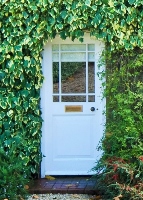 white door with ivy