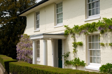 Village house with wisteria