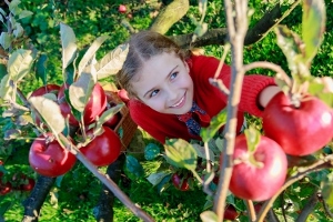 apple girl