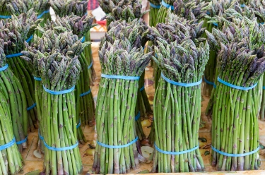 Asparagus bunches