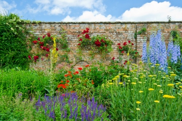 Walled Garden