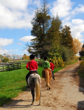 From Islington to equestrian