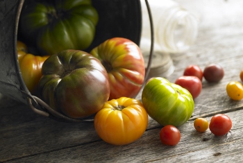 tomato bucket