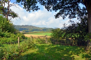 Field through a gate