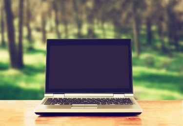 laptop in garden