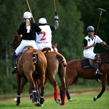 Polo players