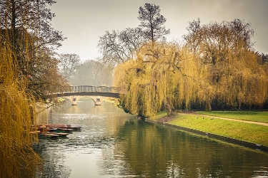 River Cam