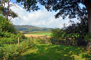 Surrey near Cranleigh