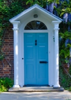 blue door w whiseria